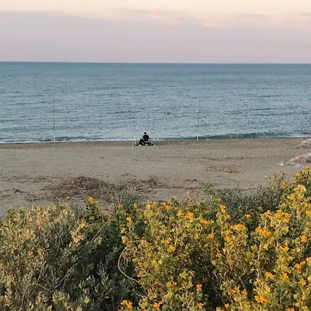 Logement Plage סן סיפריאן