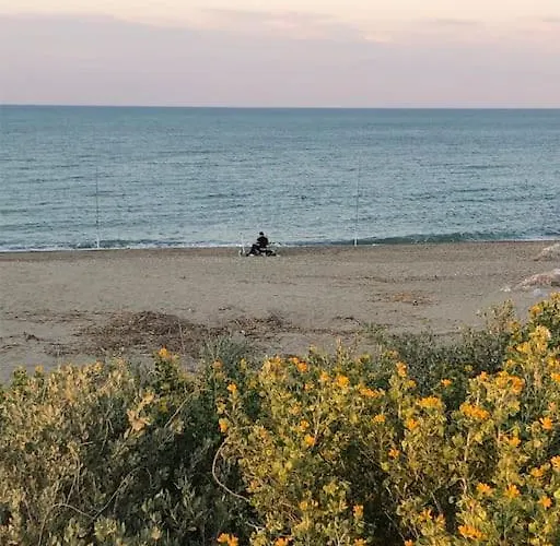 Logement Plage Saint-Cyprien (Pyrenees-Orientales)